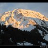 20070305_040